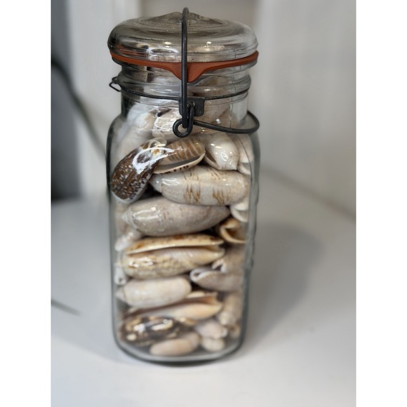 Other - Vintage Wire Bail Glass Canning Jar Full of Olive Sea Shells Coastal Decor 7.5"